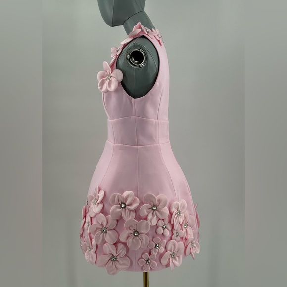 🆕 BRONX & BANCO 🧿 NWOT Estelle Floral Mini Dress, Blush Pink - Sz M US 6 - Picture 11 of 17